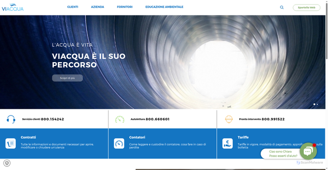 Security scan screenshot of https://www.viacqua.it