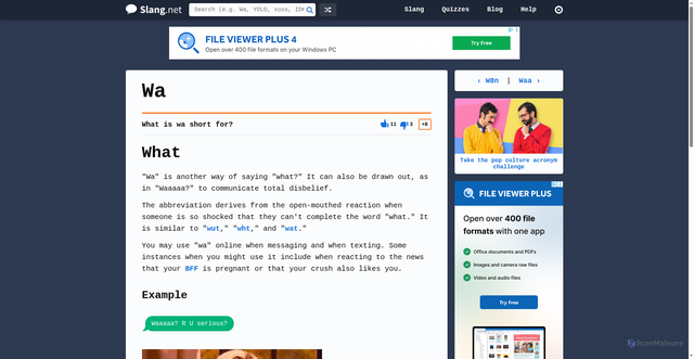 Security scan screenshot of https://slang.net/meaning/wa