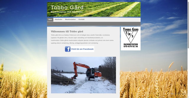 Security scan screenshot of https://tobbo.se