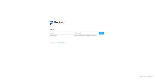 Security scan screenshot of https://app.pectora.com