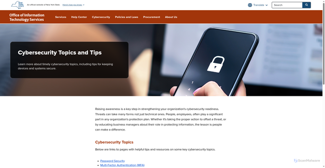 Security scan screenshot of https://its.ny.gov/cybersecurity-tips-topics