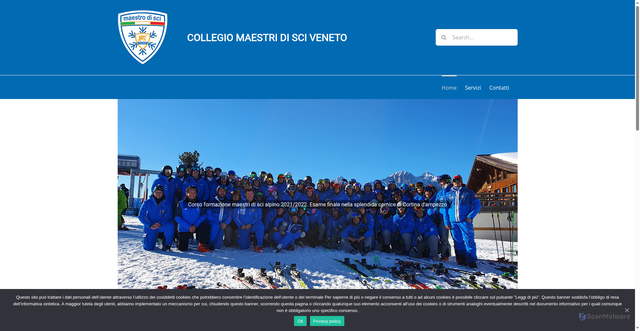 Security scan screenshot of https://www.maestrisci.com/