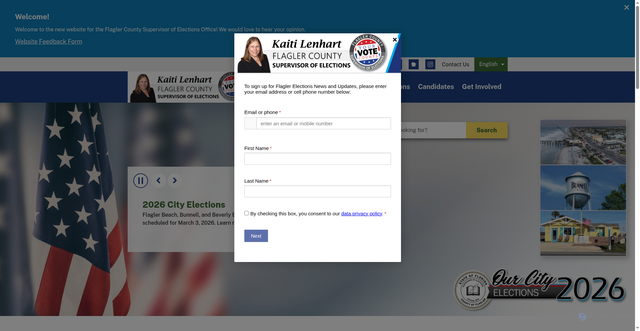Security scan screenshot of https://www.flaglerelections.gov/