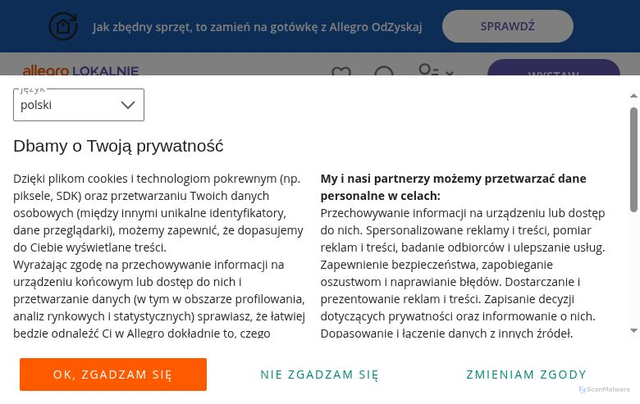 Security scan screenshot of https://allegrolokalnie.pl-2415748.icu/