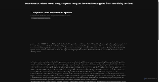 Security scan screenshot of https://ecolivingcentresitus-dptae4y6zjgw.edgeone.app/17-enigmatic-facts-about-norfolk-spaniel.html