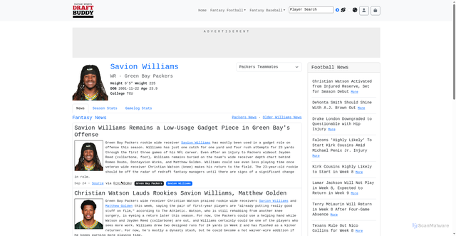 Security scan screenshot of https://www.draftbuddy.com/football/players/24012/Savion_Williams