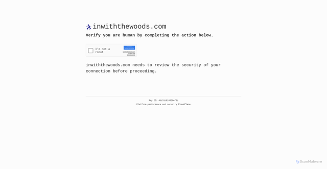 Security scan screenshot of https://inwiththewoods.com