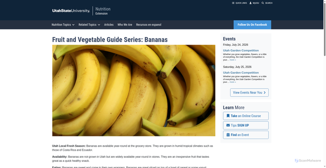 Security scan screenshot of https://extension.usu.edu/nutrition/research/bananas