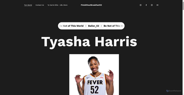 Security scan screenshot of https://www.tyharris52.com/