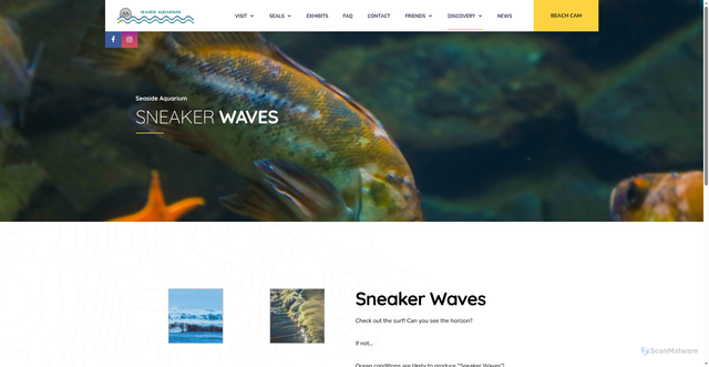 Security scan screenshot of https://seasideaquarium.com/sneaker-waves