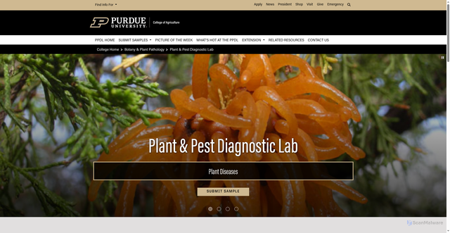 Security scan screenshot of https://www.ppdl.purdue.edu