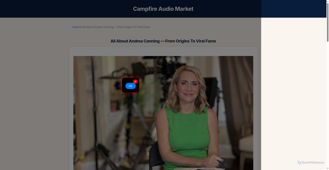 Security scan screenshot of https://old.campfireaudio.market/infonews/all-about-andrea-canning-%E2%80%94-from-origins-to-viral-fame