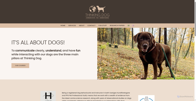 Security scan screenshot of https://thinkingdog.se