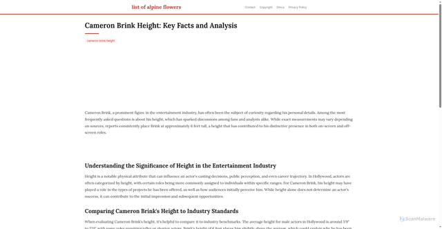 Security scan screenshot of https://vistalokalflow-dpmdyp2ylod7.edgeone.app/cameron-brink-height.html