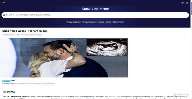 Security scan screenshot of https://amp.knowyourmeme.com/memes/events/erika-kirk-8-weeks-pregnant-rumor