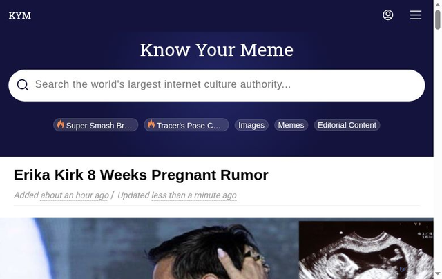Security scan screenshot of https://amp.knowyourmeme.com/memes/events/erika-kirk-8-weeks-pregnant-rumor