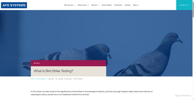 Security scan screenshot of https://www.afd-systems.com/news/what-is-bird-strike-testing/