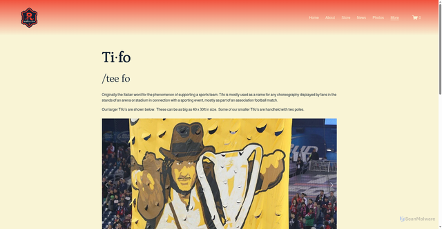 Security scan screenshot of https://www.nerebellion.org/what-is-tifo