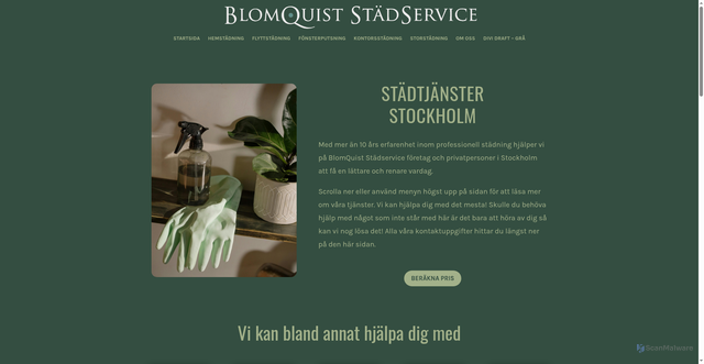 Security scan screenshot of https://renlivskvalitet.se