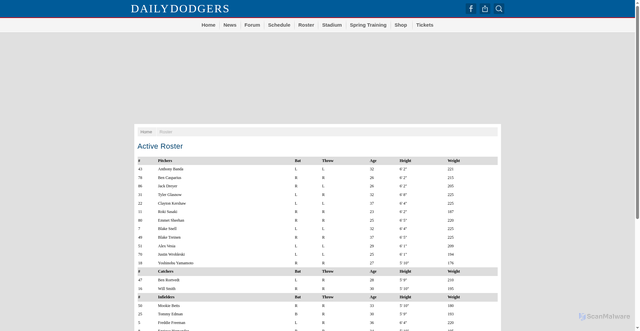 Security scan screenshot of https://www.dailydodgers.com/roster/