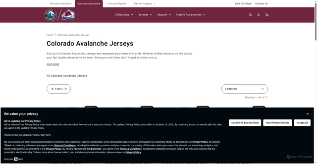 Security scan screenshot of https://www.altitudeauthentics.com/collections/avalanche-jerseys