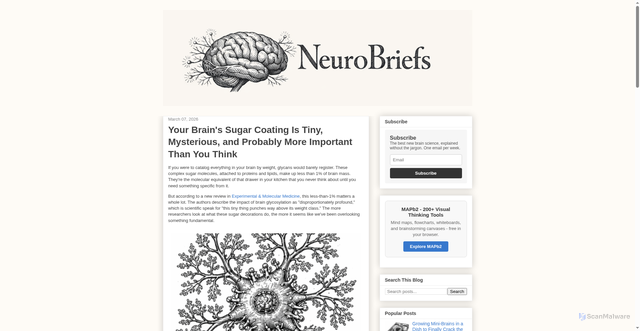 Security scan screenshot of https://neurobriefs.pages.dev/2026/03/your-brains-sugar-coating-is-tiny-mysterious-and-p.html