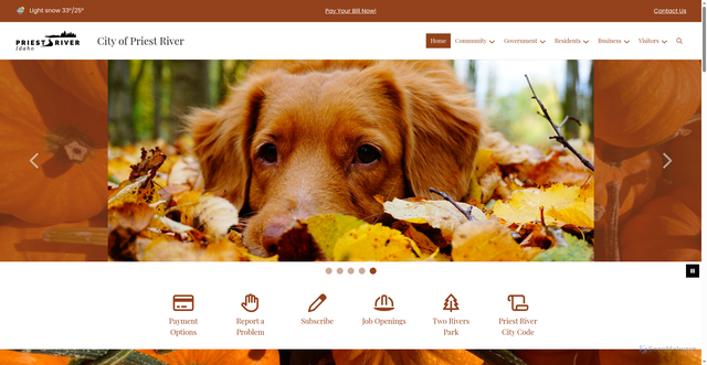 Security scan screenshot of https://priestriver-id.gov/