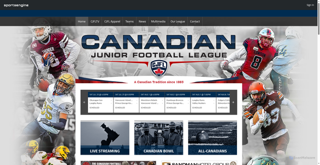 Security scan screenshot of https://www.cjfl.org/
