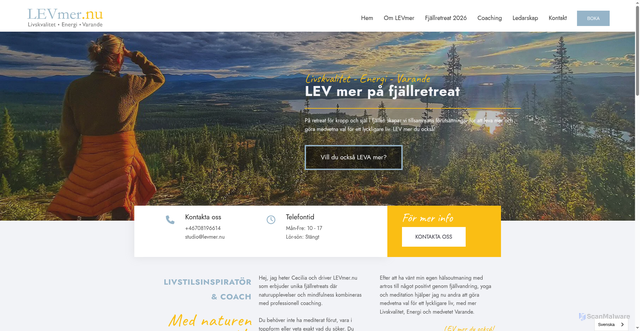 Security scan screenshot of https://levmer.nu