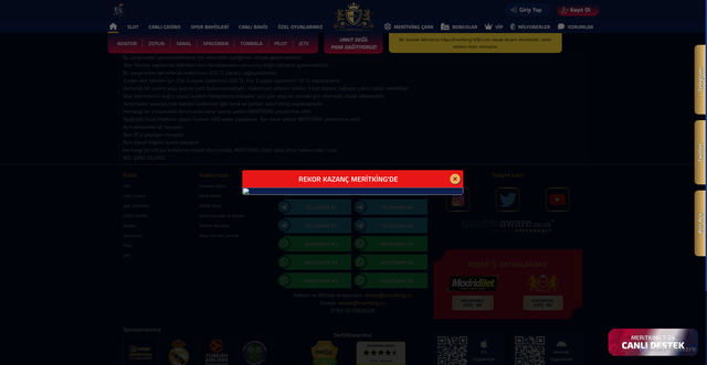 Security scan screenshot of https://metitking1698.com/scorerules