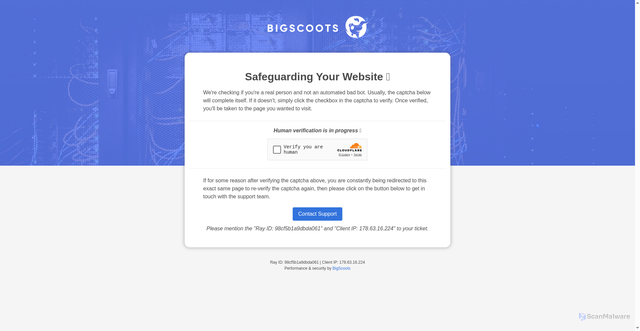 Security scan screenshot of https://www.awarenessdays.com/awareness-days-calendar/national-coming-out-day/