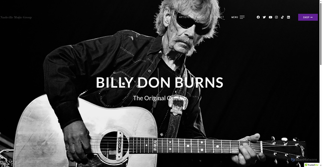 Security scan screenshot of https://thenashvillemusicgroup.com/artist/billy-don-burns/