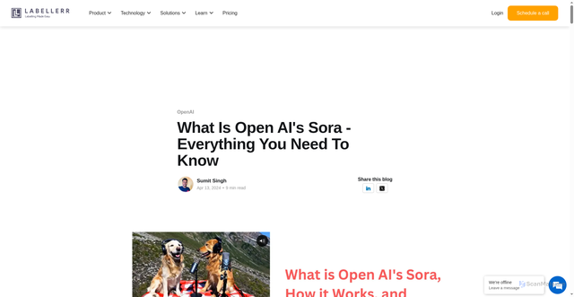 Security scan screenshot of https://www.labellerr.com/blog/what-is-openai-sora-how-it-works-everything-need-to-know/