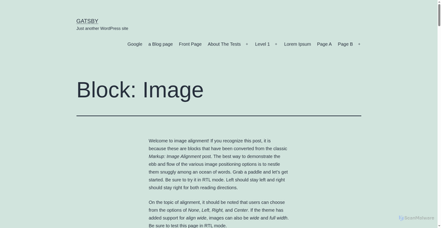 Security scan screenshot of https://wptest.pages.dev/2018/11/03/block-image/