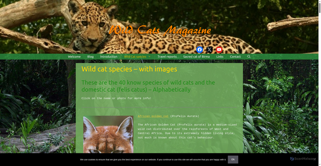Security scan screenshot of https://wildcatsmagazine.nl/known-species-wild-cats/