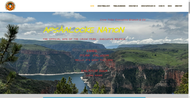 Security scan screenshot of http://www.crow-nsn.gov/