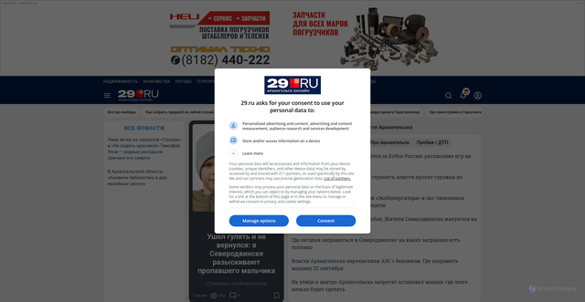 Security scan screenshot of https://29.ru