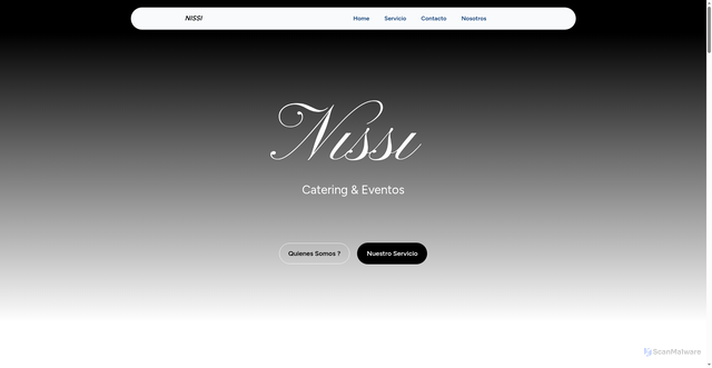 Security scan screenshot of https://nissicye.com