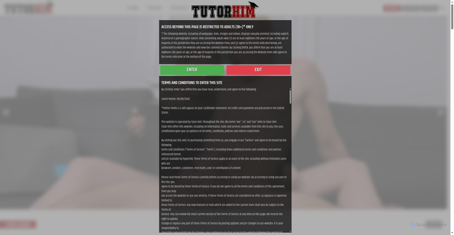 Security scan screenshot of https://www.tutorhim.com/