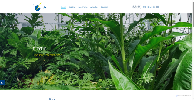 Security scan screenshot of https://igzev.de/