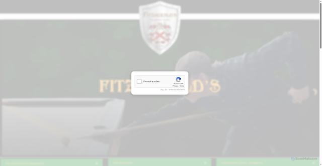 Security scan screenshot of https://fitzgeraldsva.com