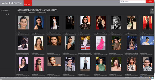 Security scan screenshot of https://www.rexfeatures.com/livefeed/2025/11/03/kendall_jenner_turns_30_years_old_today