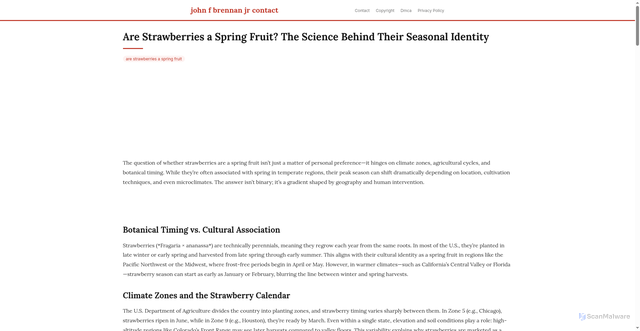 Security scan screenshot of https://aksarasantaisphere-dpc9bj3xyvxw.edgeone.app/are-strawberries-a-spring-fruit.html