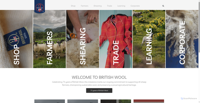 Security scan screenshot of https://www.britishwool.org.uk/