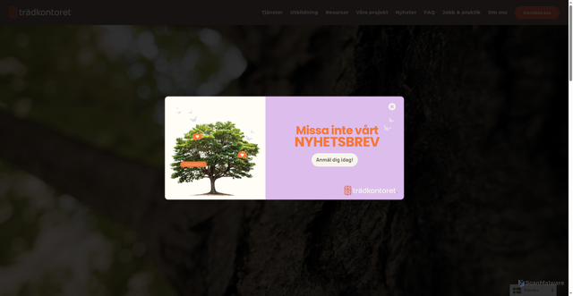 Security scan screenshot of https://treeoffice.se