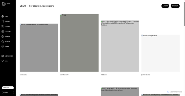 Security scan screenshot of https://static.vsco.co/