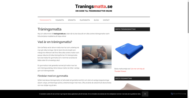 Security scan screenshot of https://traningsmatta.se