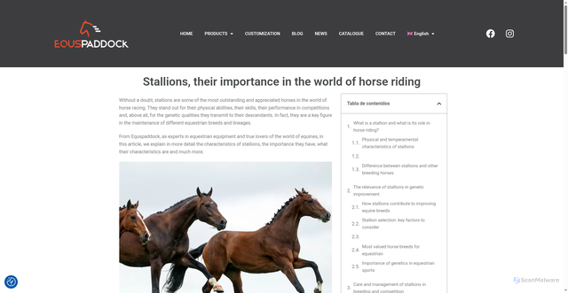 Security scan screenshot of https://equspaddock.com/en/stallions-their-importance-in-the-world-of-horse-riding/