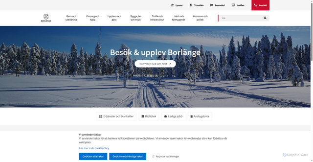 Security scan screenshot of https://www.borlange.se/