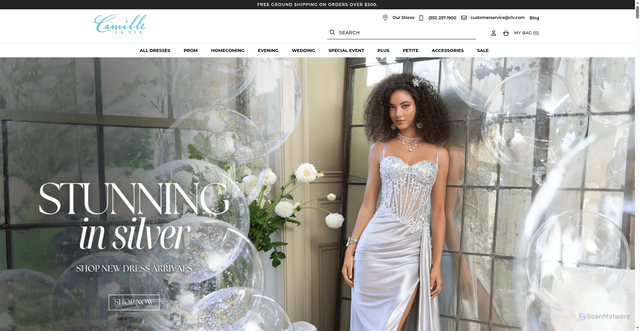 Security scan screenshot of https://camillelavie.com
